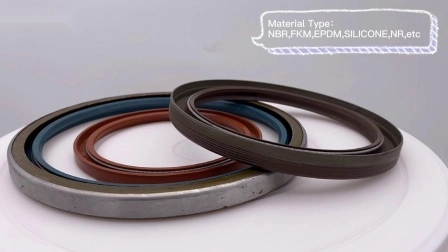 NBR, EPDM, HNBR, Silicone, NR Rubber Oil Seal for Hydraulic Machinery